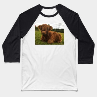 Scottish Highland Cattle Calf 2068 Baseball T-Shirt